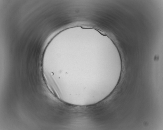 X0000112720912200909171101