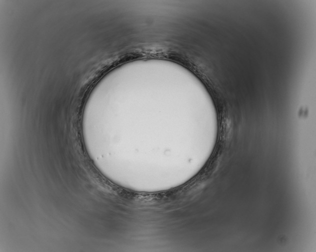 X0000112720913200909171101