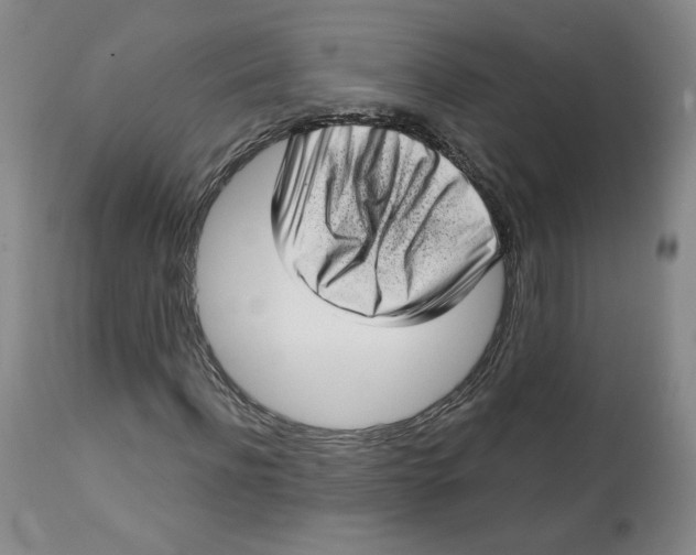 X0000112720916200909171101