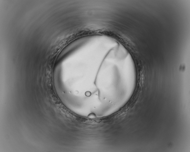 X0000112720917200909171101