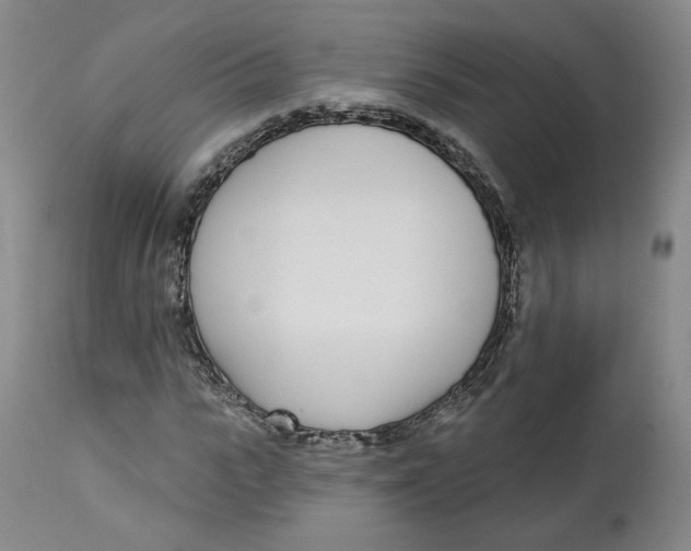 X0000112720919200909171101