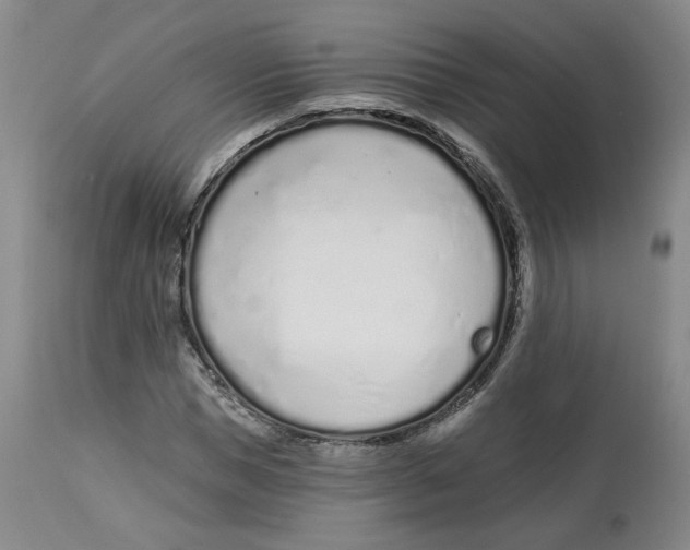 X0000112720921200909171101