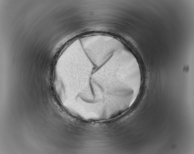 X0000112720922200909171101