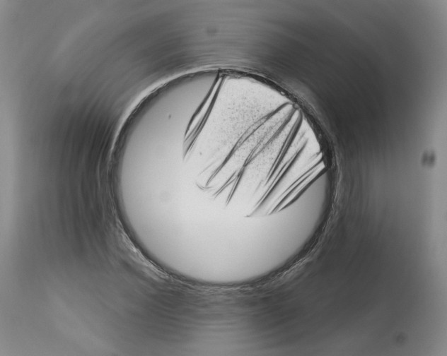 X0000112720924200909171101