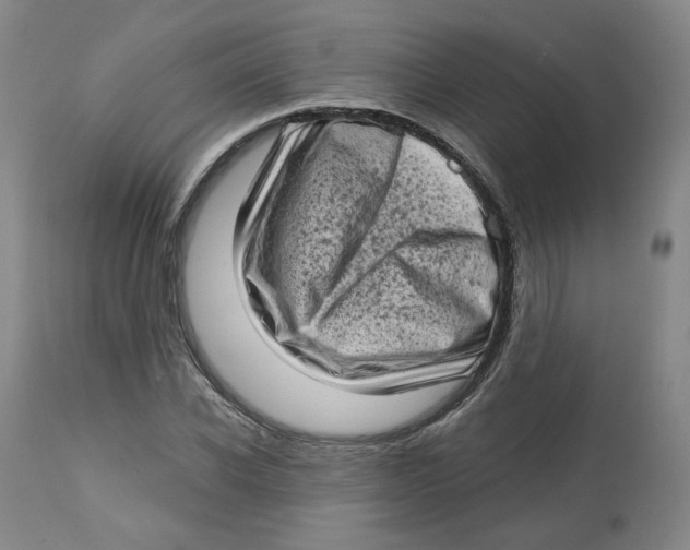 X0000112720926200909171101