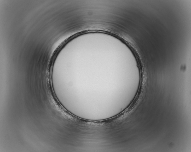 X0000112720928200909171101