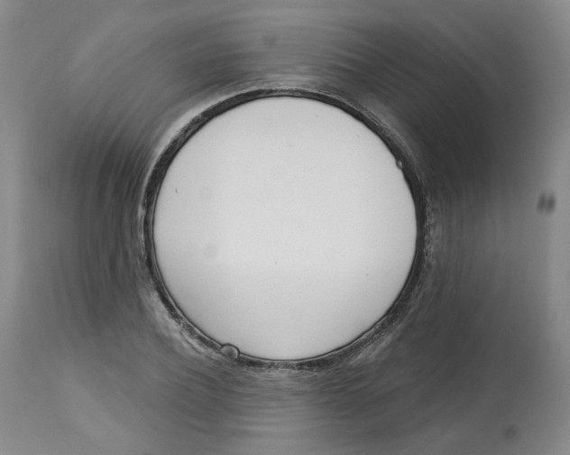 X0000112720932200909171101