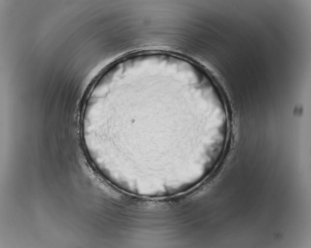 X0000112720933200909171101