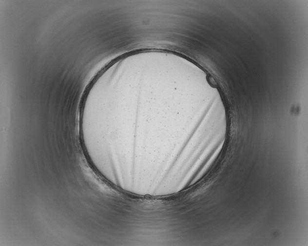 X0000112720940200909171101