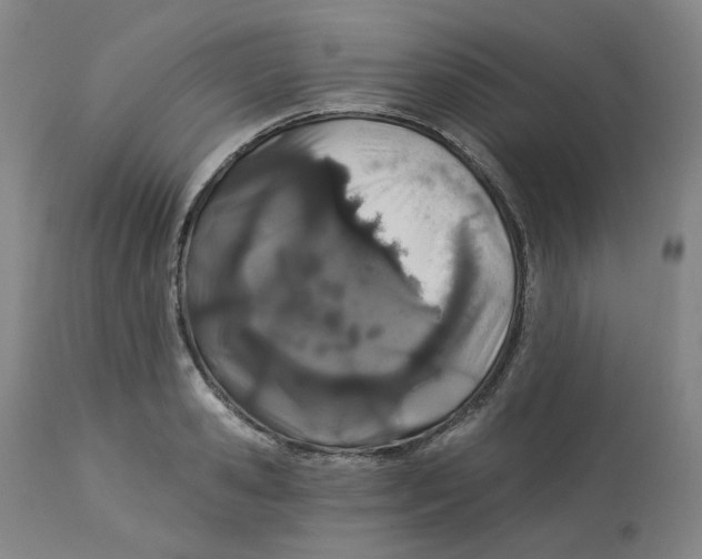 X0000112720941200909171101