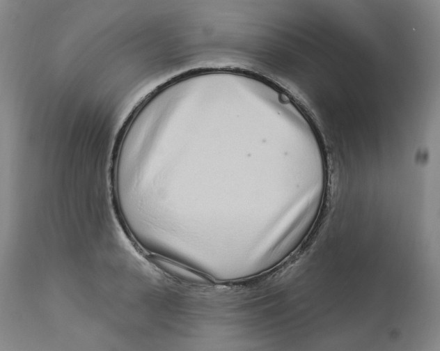 X0000112720943200909171101