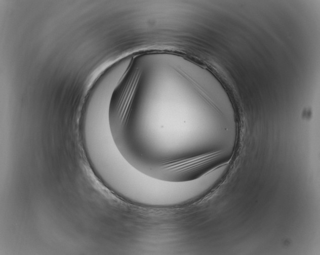 X0000112720944200909171101