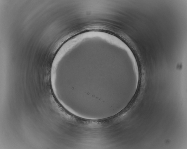 X0000112720945200909171101