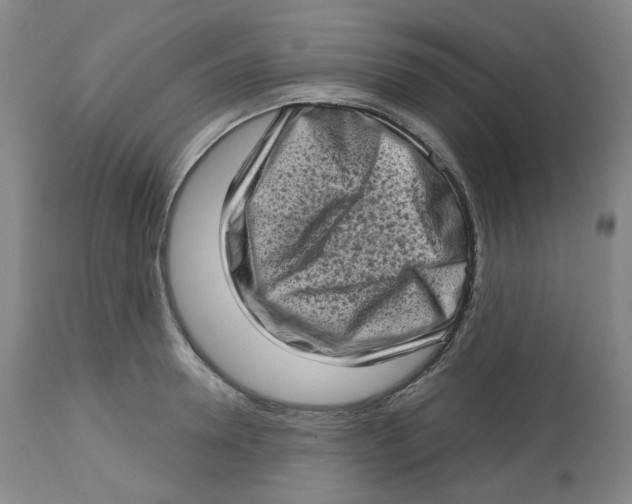 X0000112720946200909171101