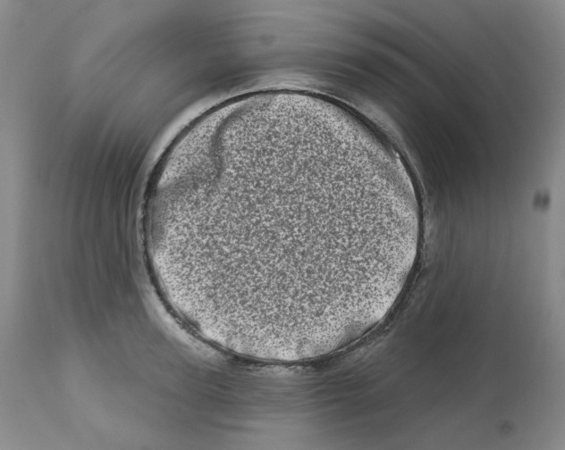 X0000112720947200909171101