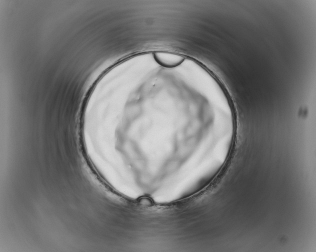 X0000112720949200909171101