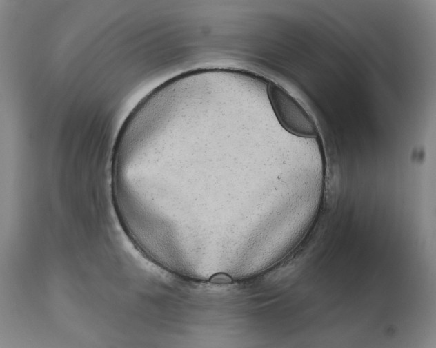 X0000112720951200909171101