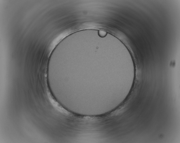 X0000112720954200909171101