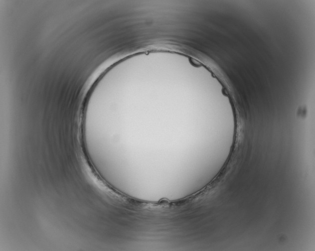 X0000112720955200909171101