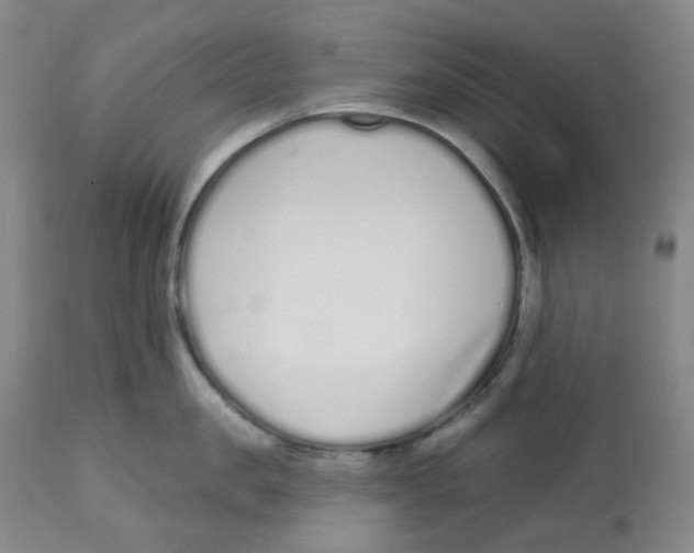 X0000112720957200909171101