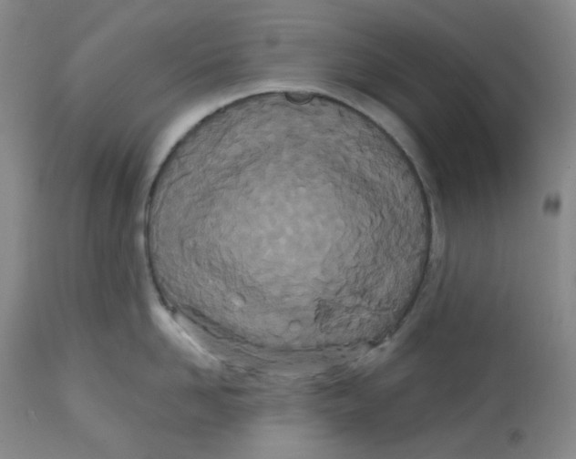 X0000112720958200909171101