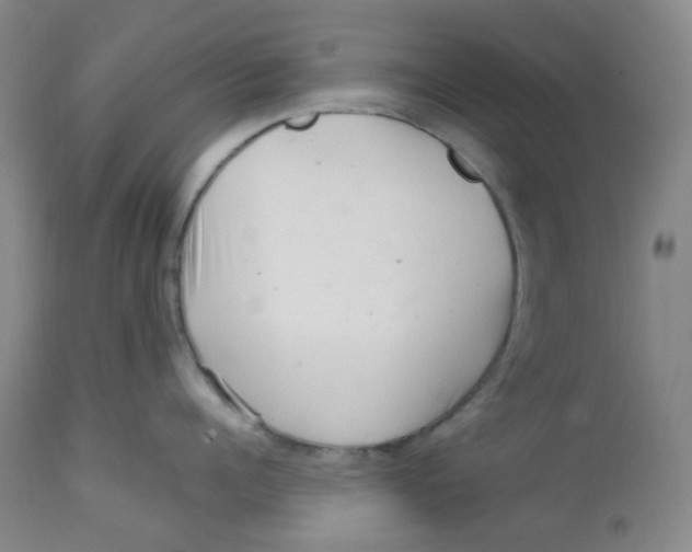 X0000112720960200909171101