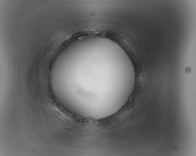 X0000112720961200909171101