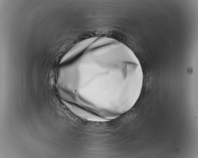 X0000112720962200909171101