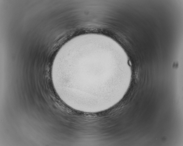 X0000112720964200909171101