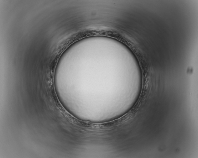 X0000112720966200909171101