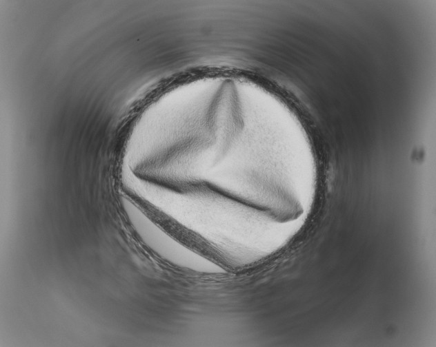 X0000112720968200909171101