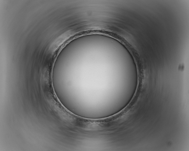 X0000112720969200909171101