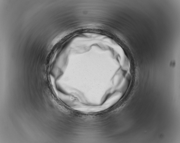 X0000112720970200909171101