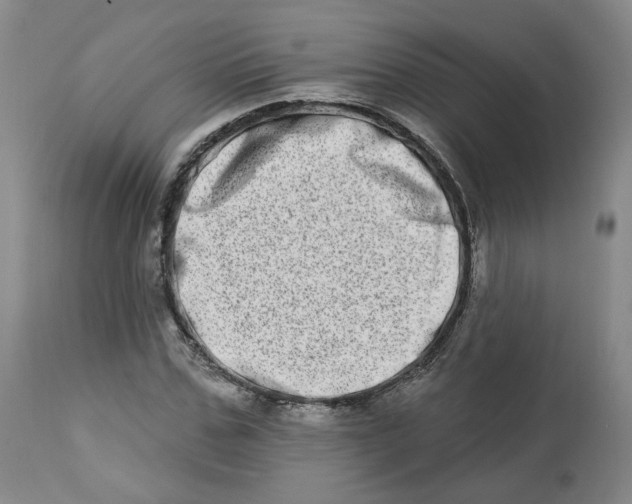 X0000112720971200909171100