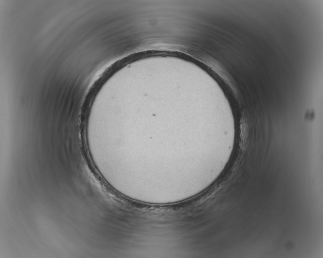 X0000112720972200909171100