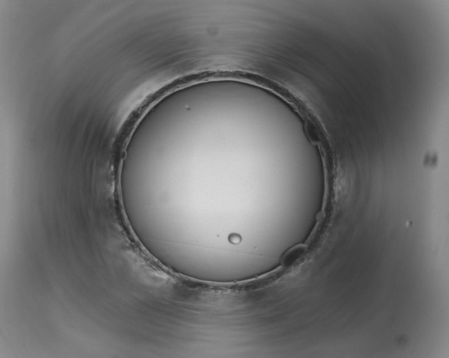 X0000112720973200909171100