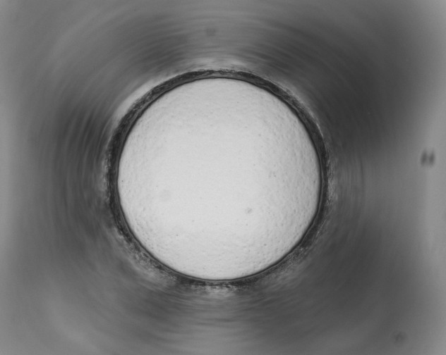 X0000112720975200909171100