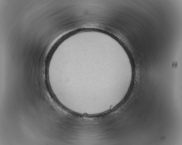 X0000112720976200909171100