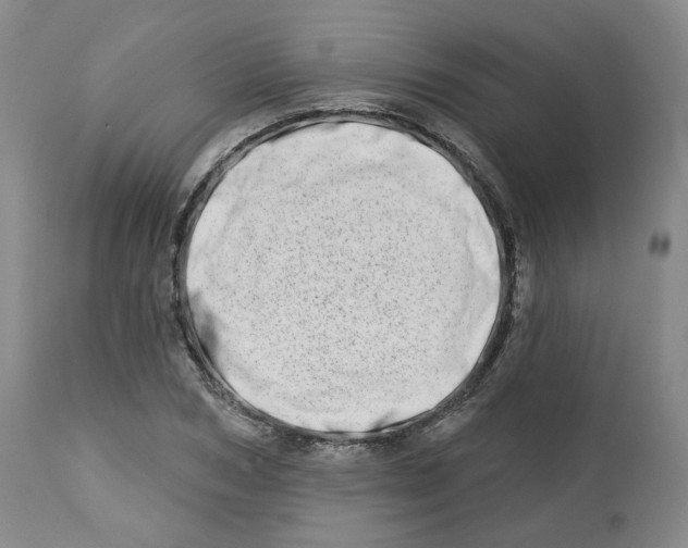 X0000112720978200909171100