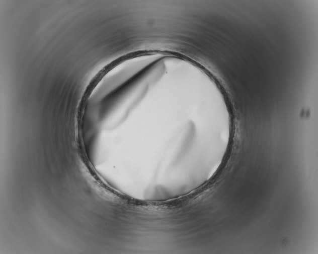 X0000112720980200909171100