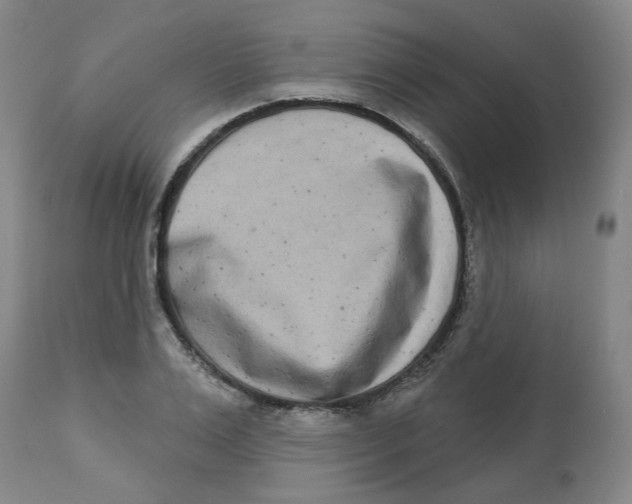 X0000112720983200909171100