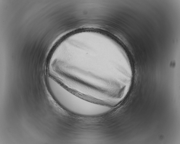 X0000112720984200909171100