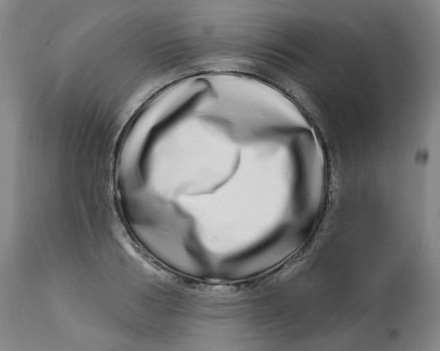 X0000112720986200909171100