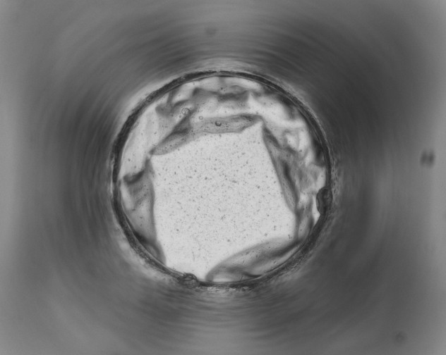 X0000112720987200909171100