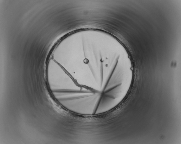 X0000112720988200909171100