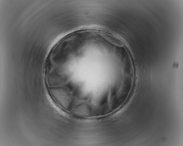 X0000112720989200909171100