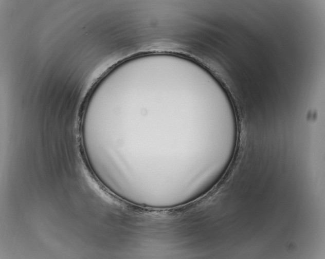 X0000112720990200909171100