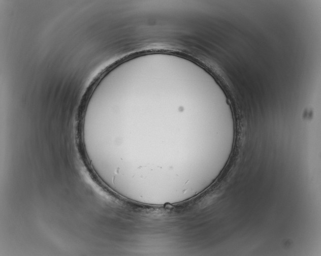 X0000112720991200909171100