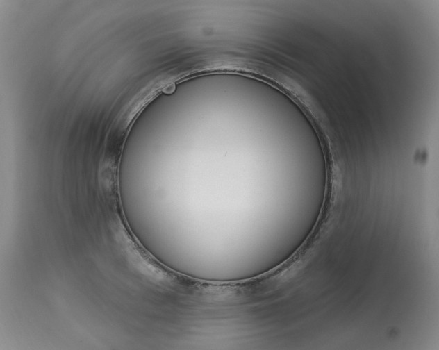 X0000112720993200909171100