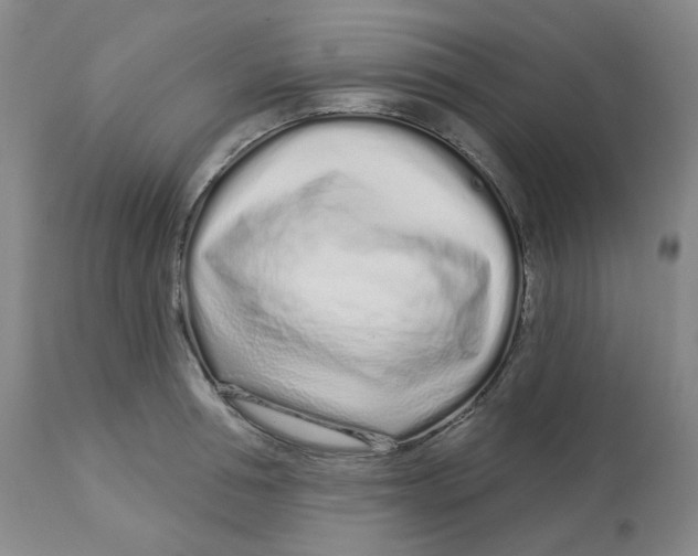 X0000112720994200909171100